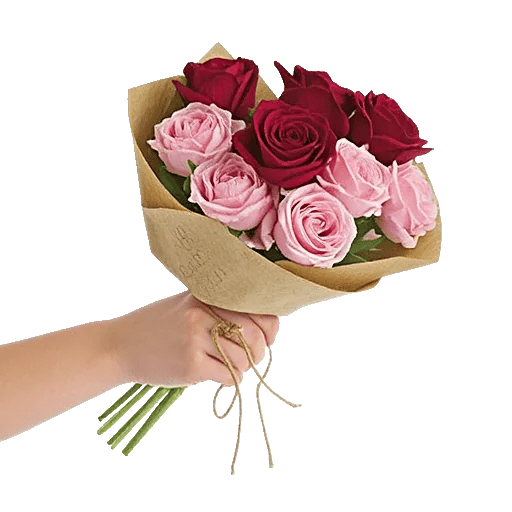 Crimson Rose Elegance