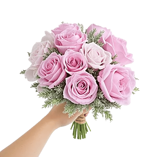 Pastel Pink Roses