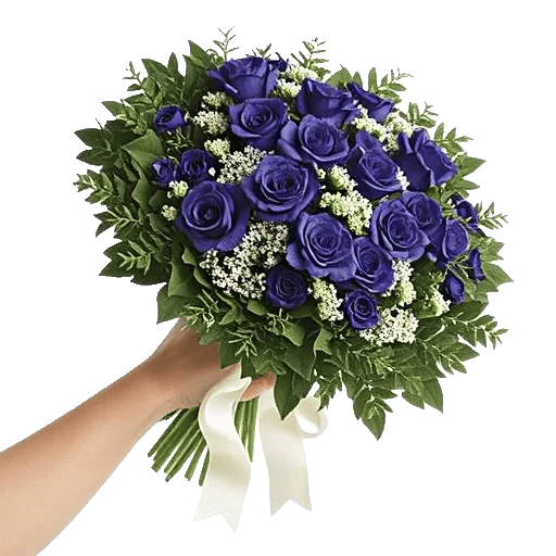 Blossom Petal Serenity