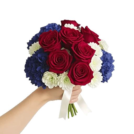 Crimson Rose Elegance