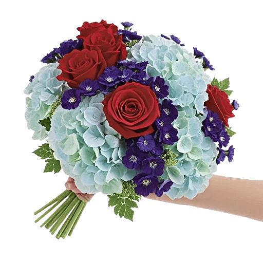 Serene Petal Harmony