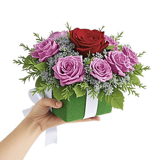 Crimson Rose Elegance