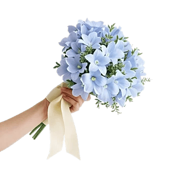 Delicate Petal Cascade