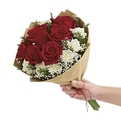 Crimson Rose Elegance