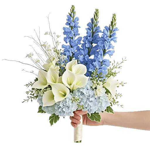 Elegant Calla Lilies