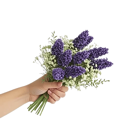 Rosemary Bloom Elegance