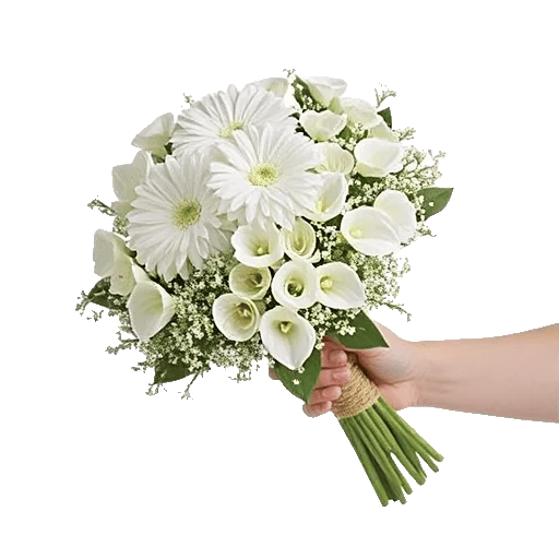 Elegant Calla Lilies