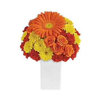 Radiant Bloom Cascade