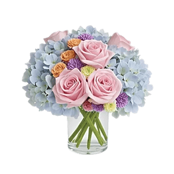 Serene Petal Harmony