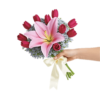 Blossom Harmony Display