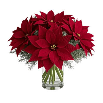 Petal Radiance Bliss