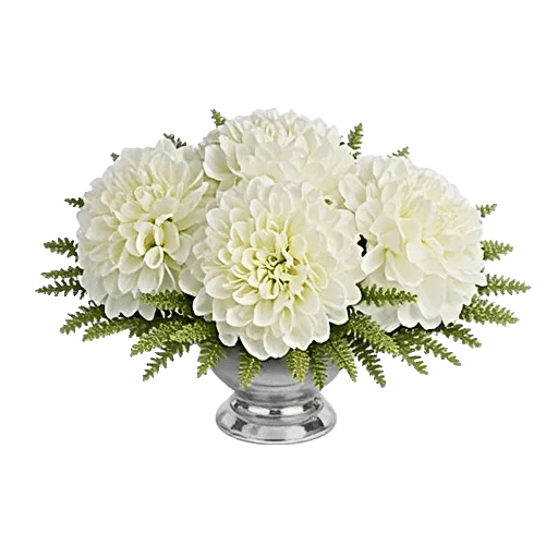 Minimalist White Orchids