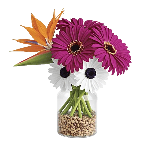 Petal Radiance Bliss