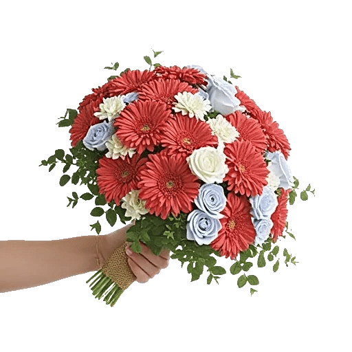 Blushing Rose Symphony