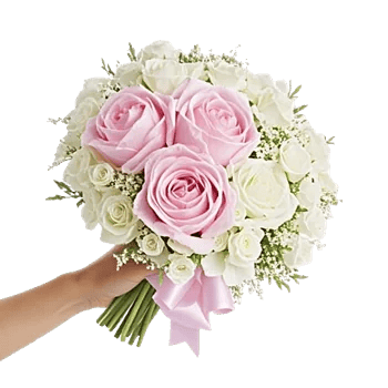 Peony Petal Harmony