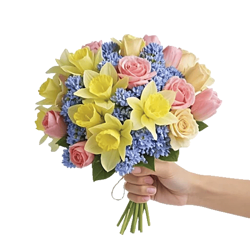 Blossom Harmony Display