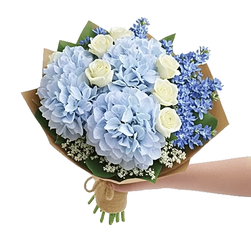 Serene Petal Harmony