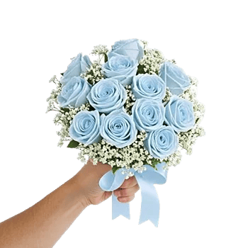 Elegant Blue Roses