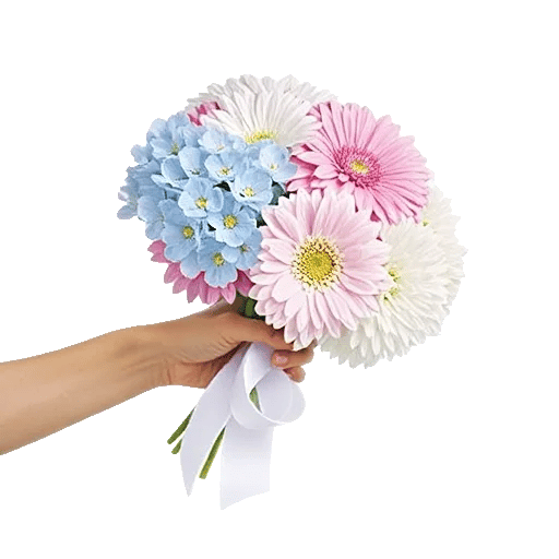Blossom Petal Serenity