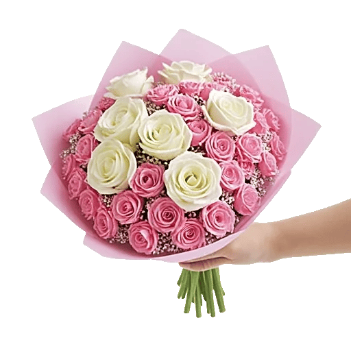 Pastel Pink Roses