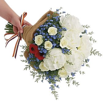 Delicate Petal Cascade