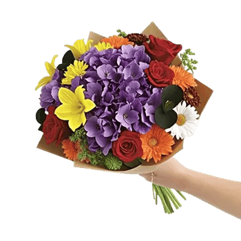 Petal Harmony Bliss