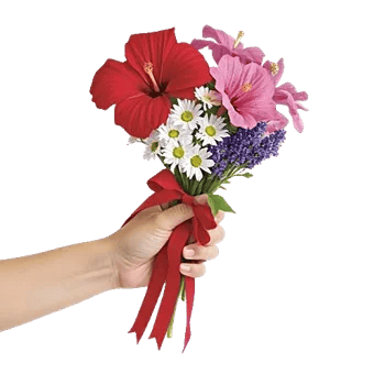 Blushing Rose Symphony