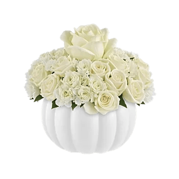 Minimalist White Orchids