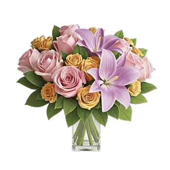 Radiant Rose Symphony