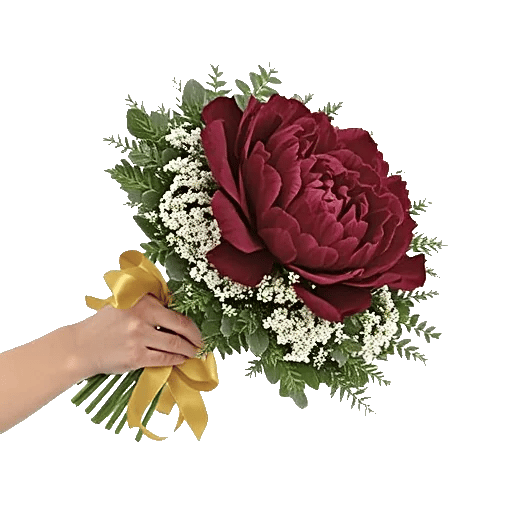Peony Petal Harmony