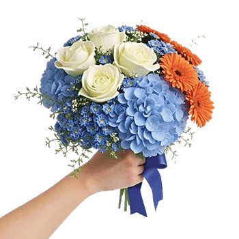 Serene Petal Harmony