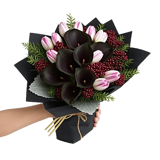 Elegant Calla Lilies