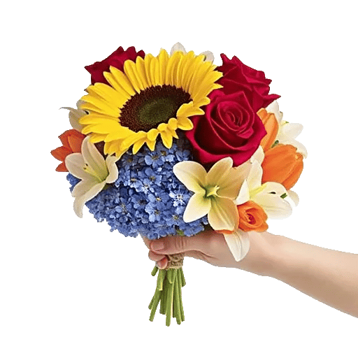 Twinkling Sunflower Dance