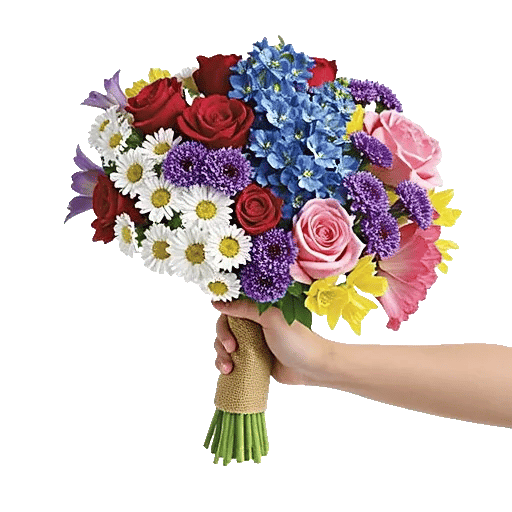 Blossom Harmony Display