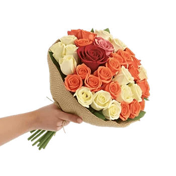 Crimson Rose Elegance