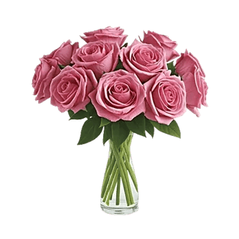 Radiant Rose Symphony