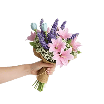 Pastel Blossom Grace