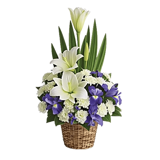 Graceful Lily Display