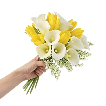 Elegant Calla Lilies