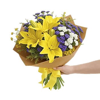 Blossom Harmony Display