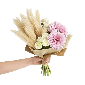 Delicate Petal Cascade