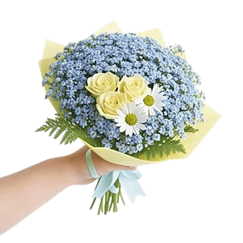 Blossom Petal Serenity