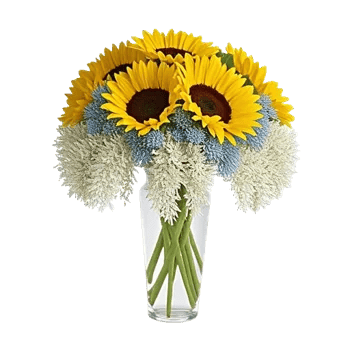 Radiant Bloom Cascade