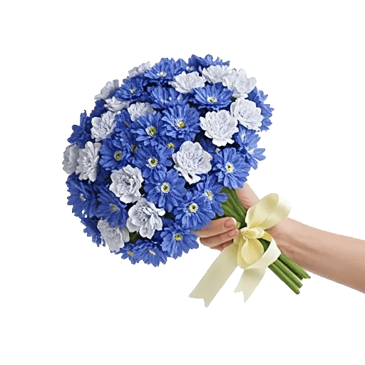 Elegant Blue Roses