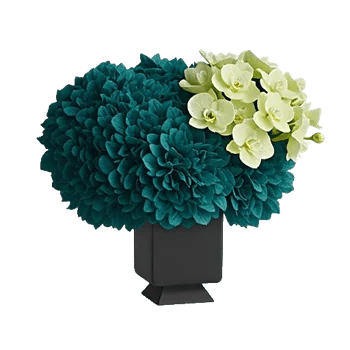 Ivory Blossom Radiance