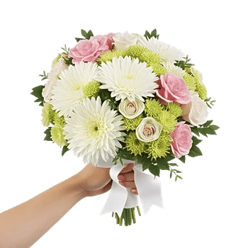 Blossom Harmony Display