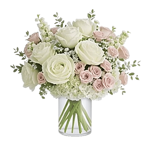 Ivory Blossom Radiance