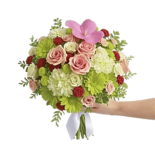 Pastel Pink Roses