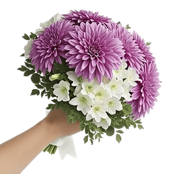 Delicate Petal Cascade