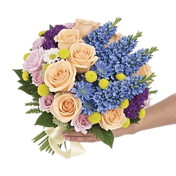 Blossom Petal Serenity